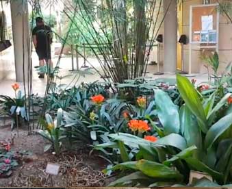 jardin-botanico-del-barrio-Extramurs-en-valencia