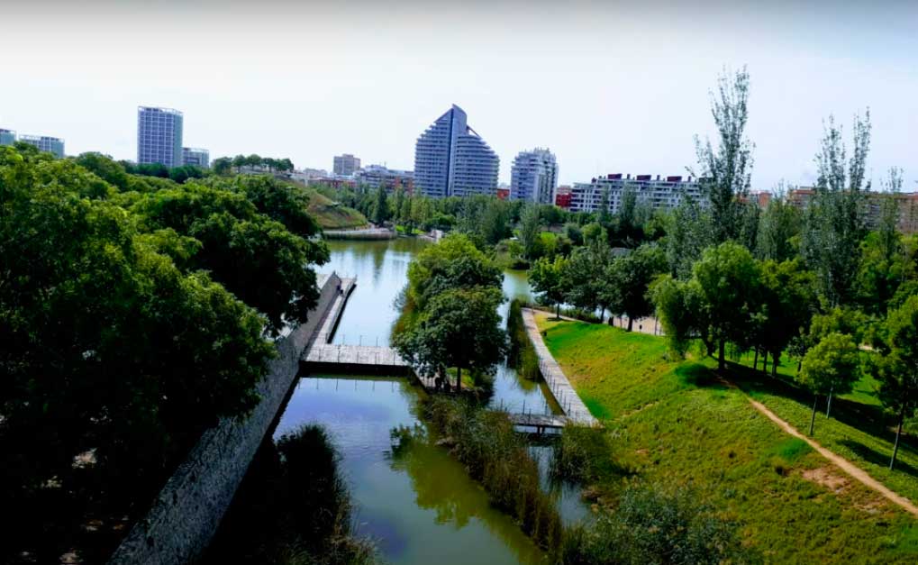 Lee más sobre el artículo Mudanzas barrio Campanar