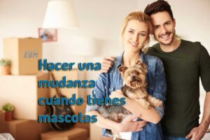 Hacer-una-mudanza-cuando-tienes-mascotas